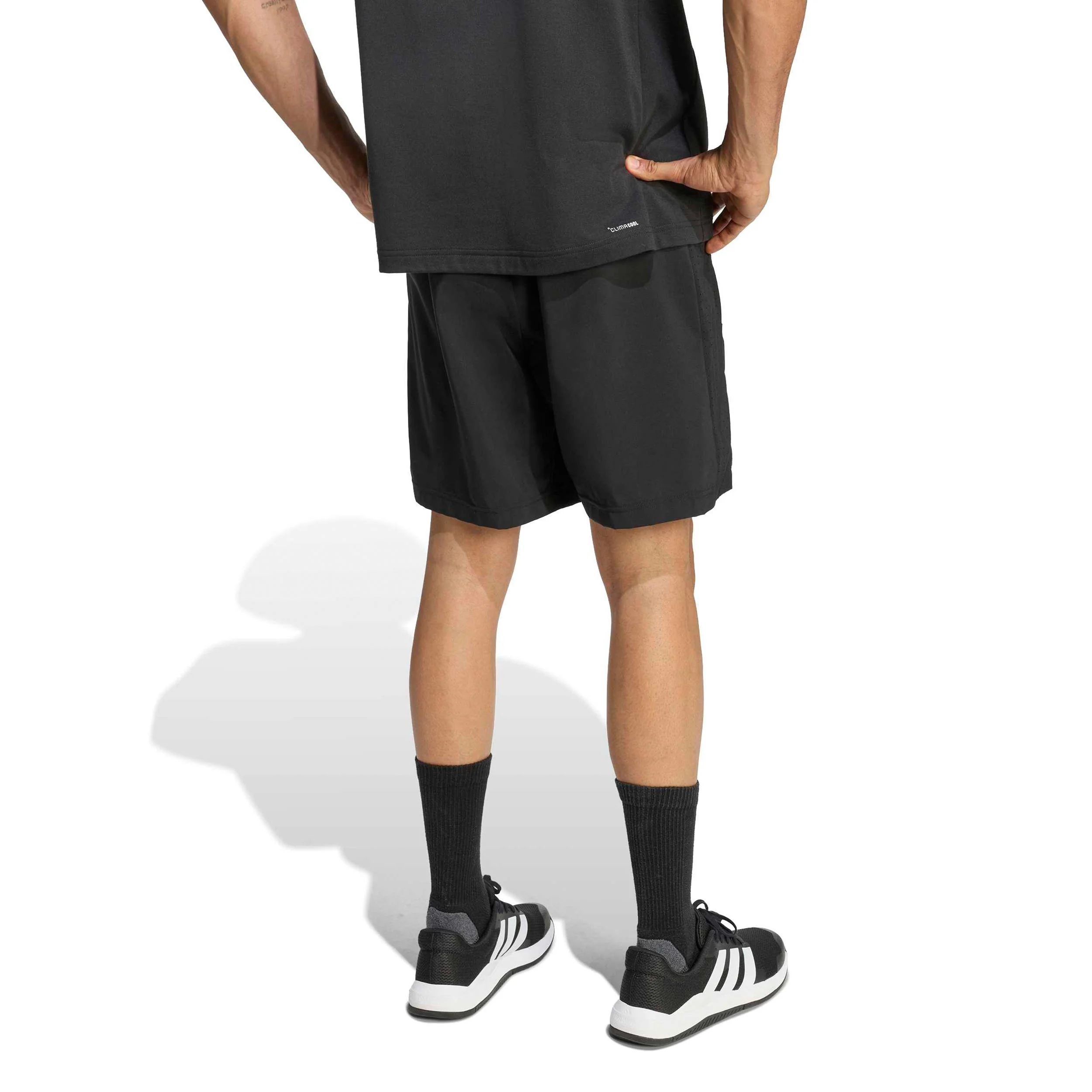 Basic 7Inch Shorts Hombres-negro - Image 3