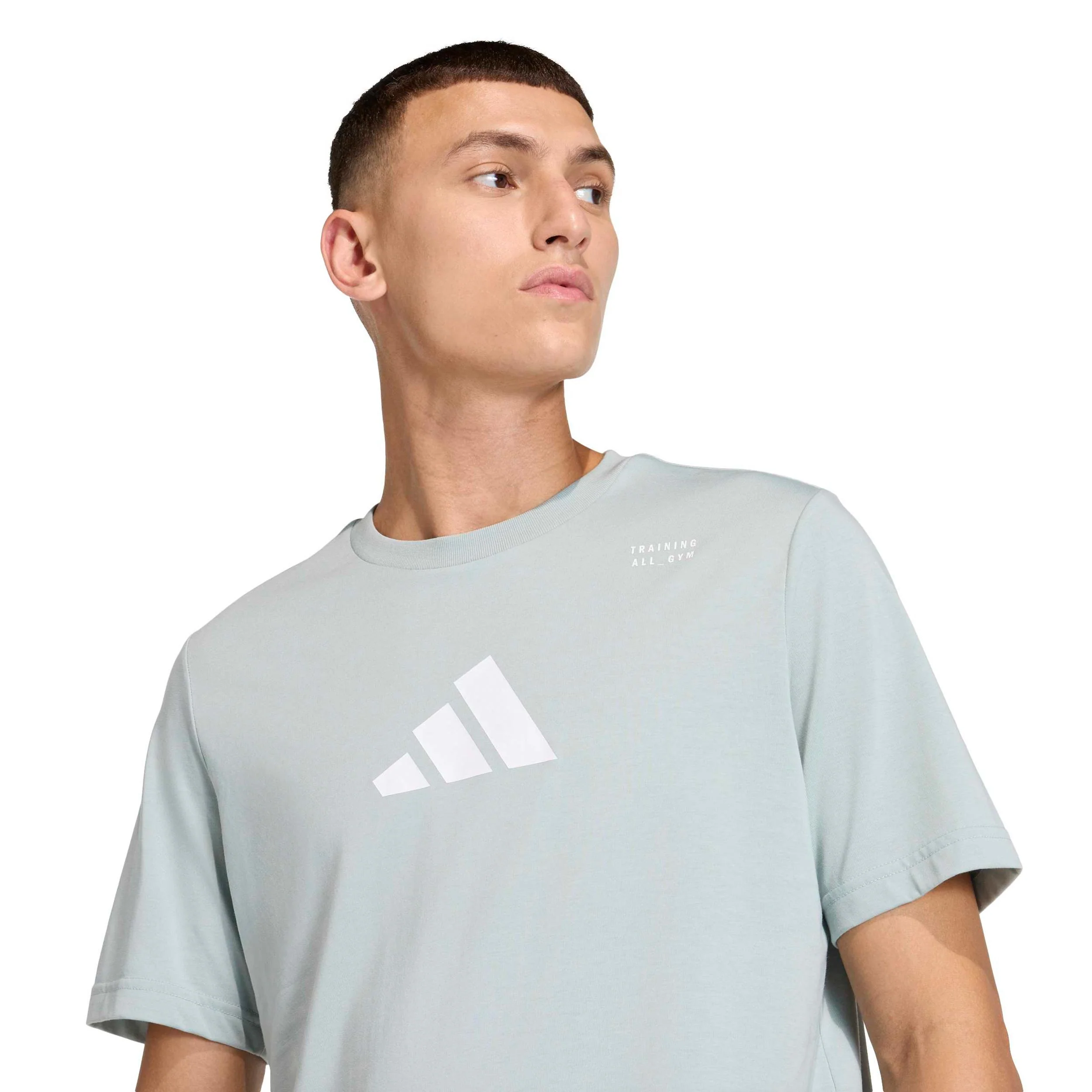 Climacool Category Graphic Camiseta de manga corta Hombres-salvia - Image 6